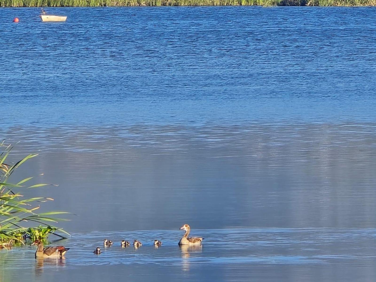 Princess Vlei Lodge — garden and grounds