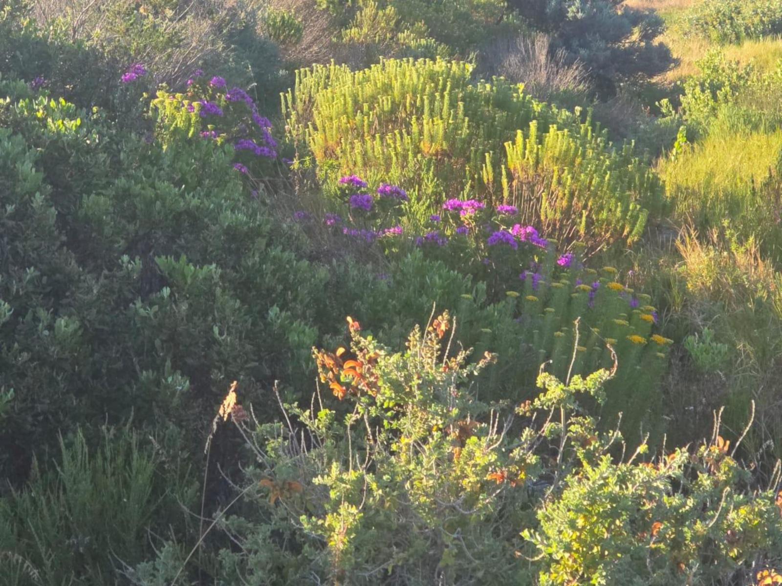 Views from the lodge property