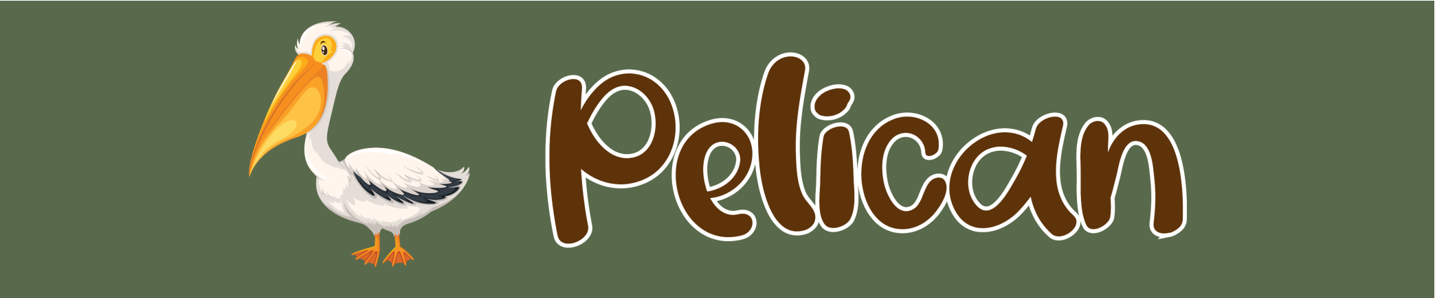 Pelican bird illustration