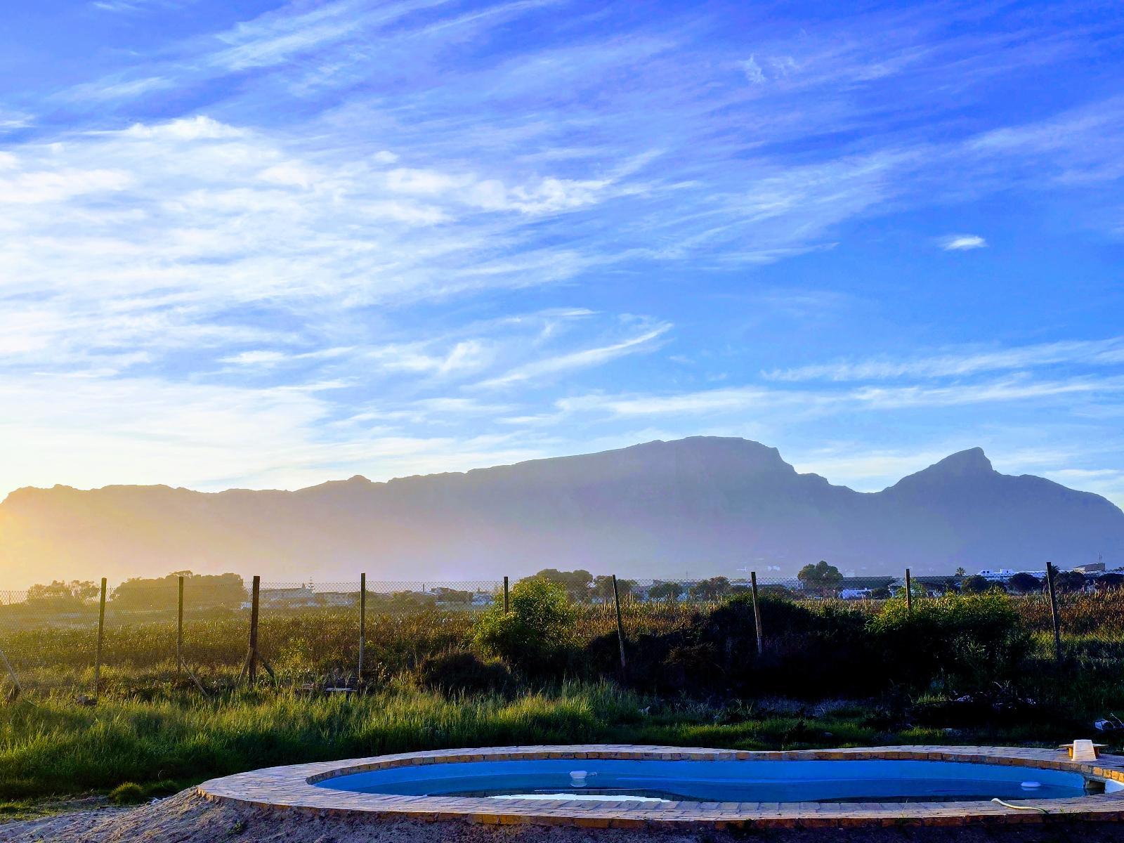 Shared swimming pool in the garden