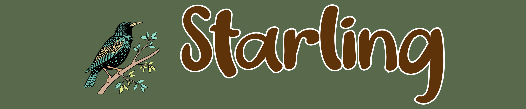 Starling bird illustration