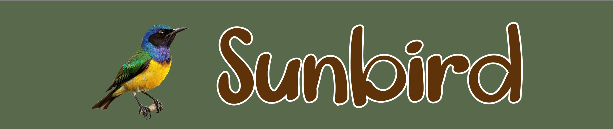 Sunbird bird illustration